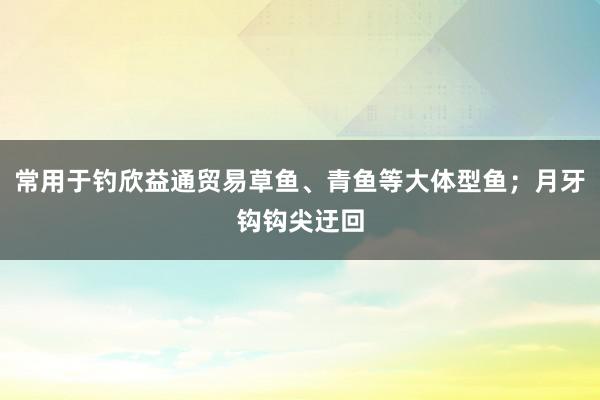 常用于钓欣益通贸易草鱼、青鱼等大体型鱼;月牙钩钩尖迂回