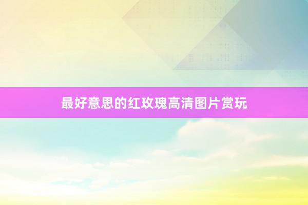 最好意思的红玫瑰高清图片赏玩