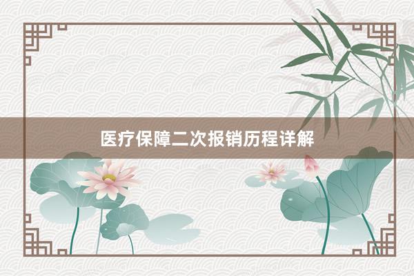 医疗保障二次报销历程详解