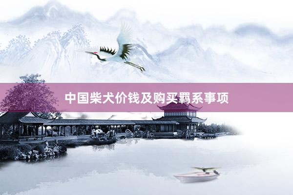 中国柴犬价钱及购买羁系事项